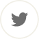 Twitter Icon